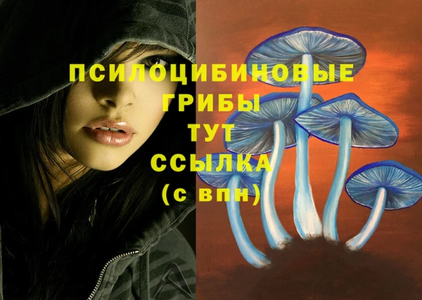 mix Дмитриев