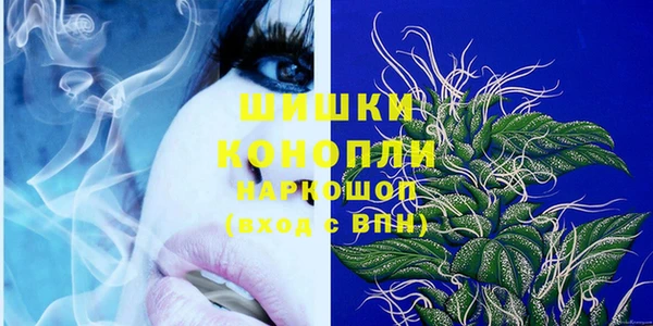 крисы Дмитров