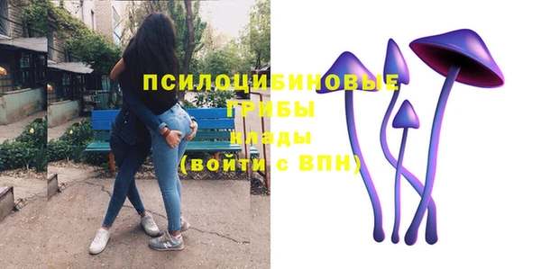 mix Дмитриев