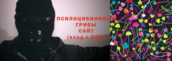 крисы Дмитров